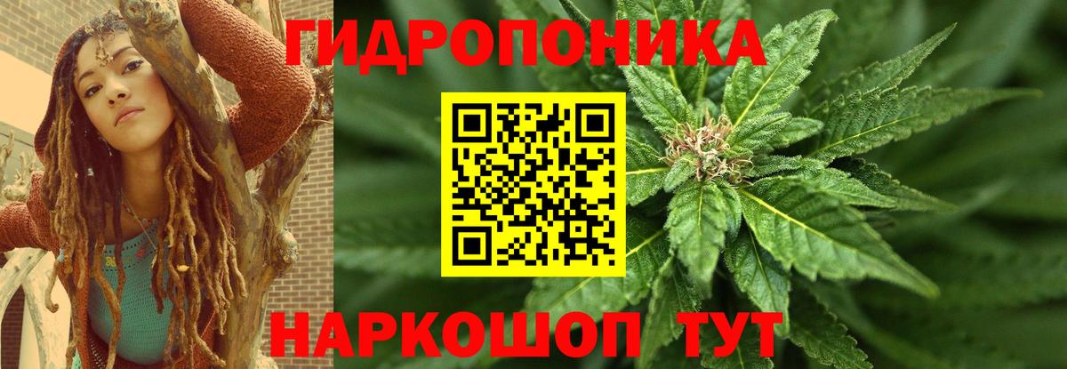 Конопля гибрид  Каннабис гибрид  Марихуана Bruce Banner  Нефтекамск  Шишки марихуана сатива  Вход с VPN 